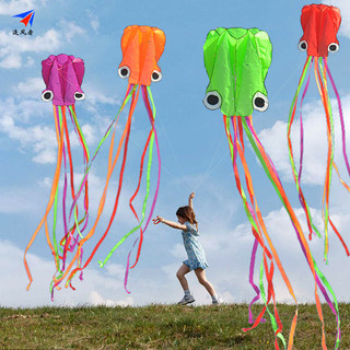Wind chaser skeletonless octopus weifang kite