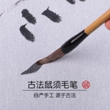 Крыса Tian Kai должна чистить европейский сценарий, сценарий короля и крыса, линия травы Ван Си