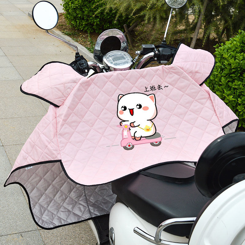 Electric car windshield is summer thin battery self-propelled motorcycle waterproof spring and autumn sunscreen goddess tram sunshade