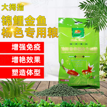 Brocade Carp Cold Water Fish Feed Thumb Golden Fish Yangcolor Special Grain Floating Grain Spirulina Ornamental Fish Food Add Color