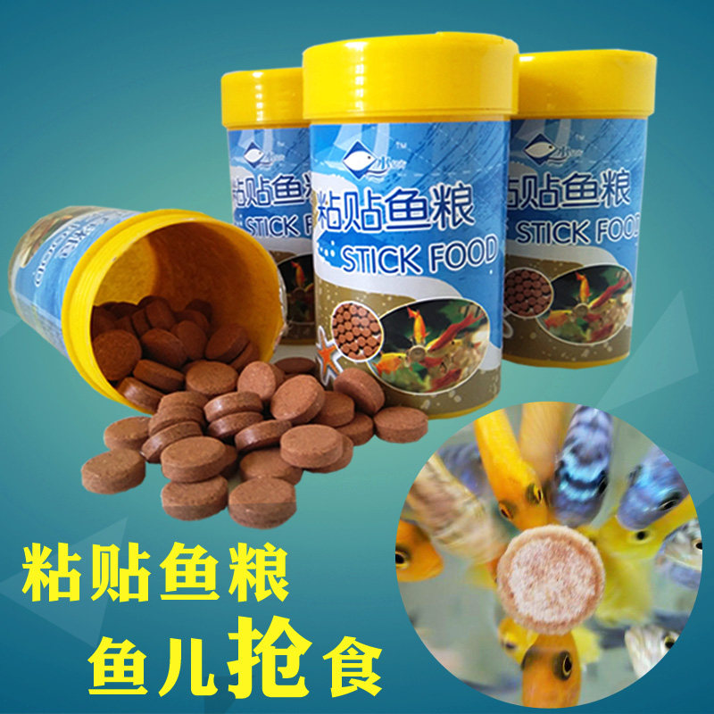 Small tropical fish feed Patch fish food Flaky particles Peacock lamp pipefish open general ornamental fish Fish food