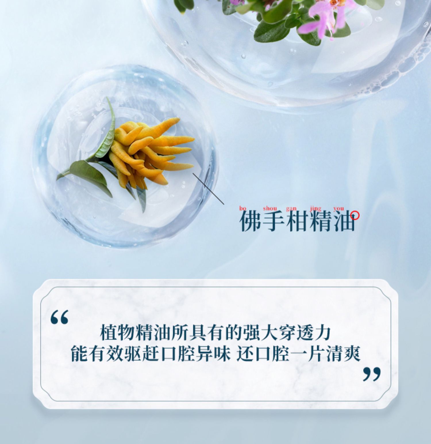 京都念慈庵草本精油口含片