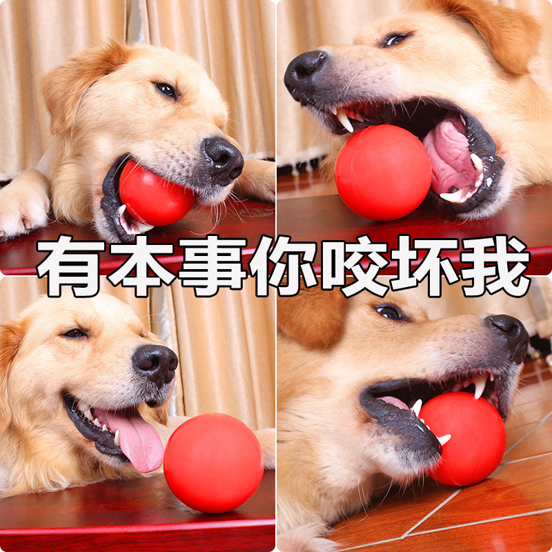 Pet Toy Ball Pooch Real Heart Ball Resistant to Grinding Tooth Teddy Gold Wool Toy Midsize Dog Toy Training Dog Supplies