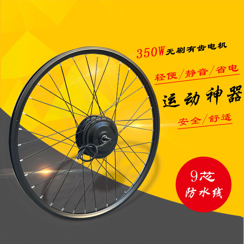 Bicycle Mountain Bike Converted to Electric Bike 36V48V350W 26 Inch 27.5 Inch 700C 29 Inch Electric Motor