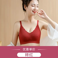 Кирпичный красный (темперамент)