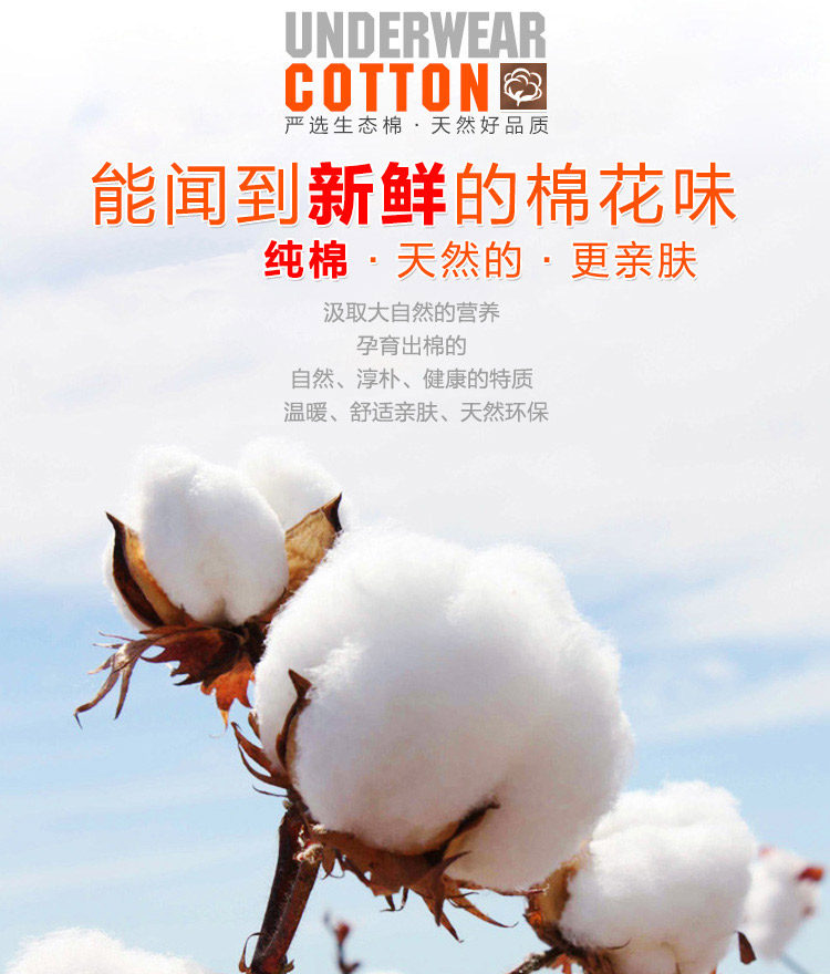 Sous-vêtement thermo NC001/NC002 en coton - Ref 761212 Image 8