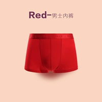 Сплетни нижнее белье