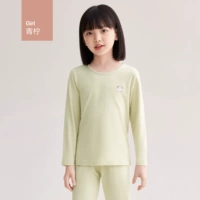 Девушка-лайм (стандарт класса А)