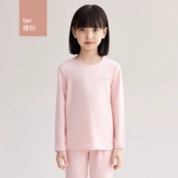 Порошок для девочек-сахара (стандарт класса A)