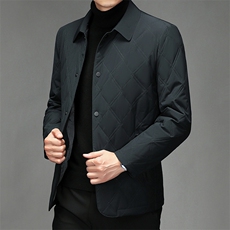 中青年夹克棉服男士2024冬季新款休闲翻领棉袄轻薄棉衣外套男装潮，男装棉衣，电商B212（原钱塘6029）