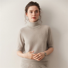 2025年秋季常规不连帽短袖修身型时尚百搭通勤高翻领短袖，女装T恤，溪贝羊绒