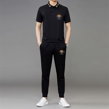 短袖T恤套装男2023夏季新款青年男士冰丝薄款t恤休闲裤两件套男，男装休闲套装，电商B212（原钱塘6029）