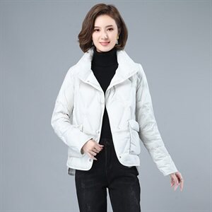 2020冬季新款时尚百搭宽松休闲舒适立领羽绒服图片