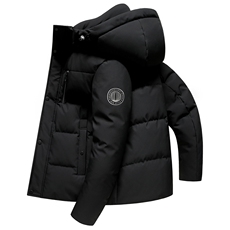 冬装新款加厚保暖户外锁温离子白鸭绒羽绒服外套脱卸帽2410-P140，男装羽绒服，星座1210A