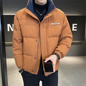 2025冬季店主风无帽立领纯色休闲高品质羽绒服外套男YR807-P185图片