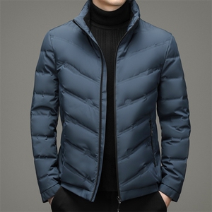 2023冬季休闲男士羽绒服青年男装加厚保暖90%白鸭绒ZL02167-P195图片