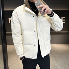 2025冬季店主风无帽立领纯色休闲高品质羽绒服外套男YR807-P185，男装羽绒服，电商A413