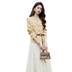 现货2026年春季新款女气质时尚潮流小外套上衣半身裙连衣裙套装，女装套装/套裙，艾贝斯