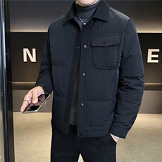 新标90绒羽绒服男冬季2025新款翻领工装外套A313-25650-P225，男装羽绒服，电商A313