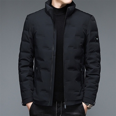 AN9855钱塘2020-3秋冬新款中长款男士立领保暖羽绒服外套P245，男装羽绒服，钱塘207-3