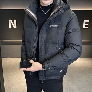 棉服男装棉衣连帽加厚手筛棉飞丝羽绒服C317-8588-P165图片