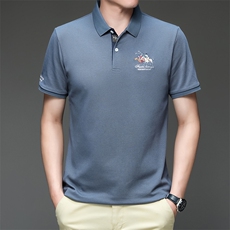 中年保罗丅恤衬衫领衣服Polo衫男士夏季短袖T恤纯棉翻领半袖体恤，男装T恤，电商B212（原钱塘6029）