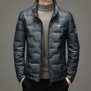 2023冬季纯色立领常规羽绒服男士厚款保暖休闲外套SNDAF3335-P250图片
