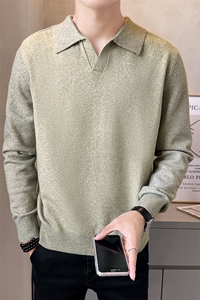 店主风毛衣男2025秋款纯色翻领针织衫百搭上衣男B317/M5730/P78图片