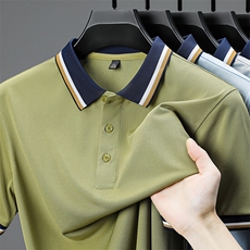 夏季POLO衫短袖T恤男士潮流2025新款上衣服男翻领半袖冰丝体恤，男装T恤，电商B212（原钱塘6029）