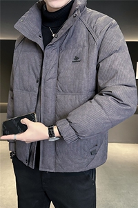 M-3XL B353 9902 P200 紫立领2025冬羽绒服【标50控活动价298】图片