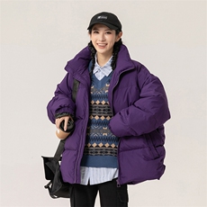 新标90白鸭绒简约休闲立领外套纯色潮流加厚羽绒服ESY0214-P198，男装羽绒服，电商B306