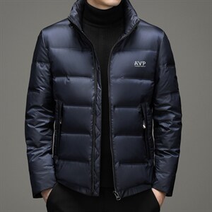 2023冬季新款商务休闲男士立领中青年外套羽绒服SNNYR16906-P295，男装羽绒服，电商B212（原钱塘6029）
