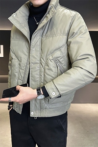 店主风 时尚立领皮羽绒服男2024冬季新款外套 B328-8319-P185图片