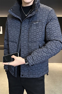 标50白鸭绒轻薄款男装羽绒服冬季外套B317-Y2506-P185图片