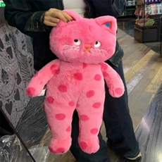 王涛毛绒玩具 十寸波点猫