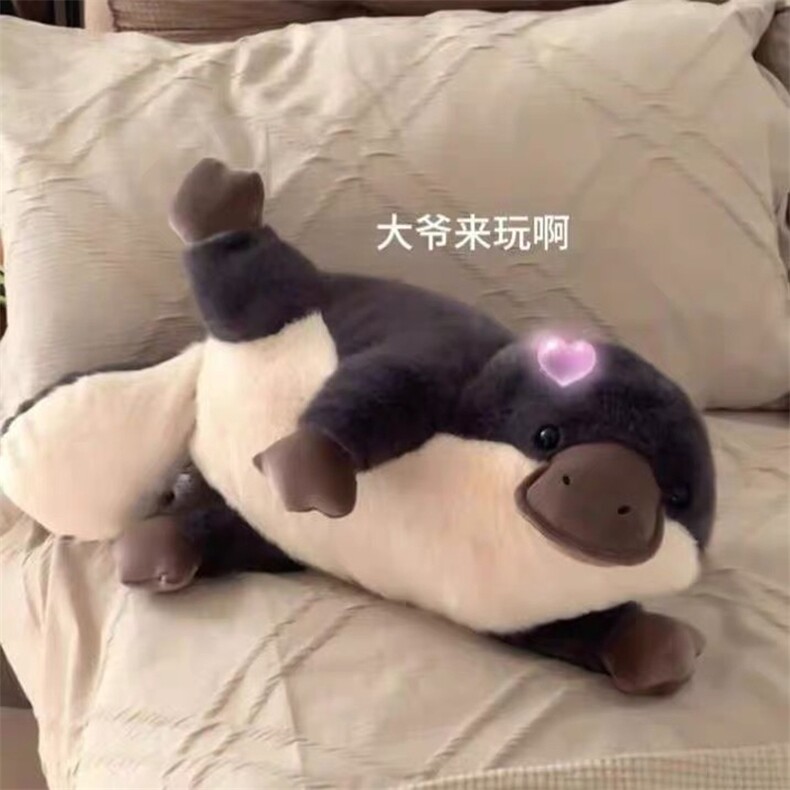 躺姿鸭嘴兽，娃仔网供