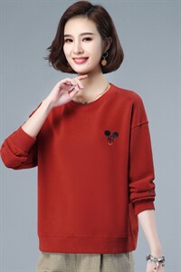 2021年春季新款套头圆领卫衣女宽松韩版休闲百搭气质打底衫女棉图片