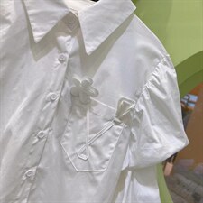 22春装新款宽松节节灯笼袖大版衬衫，女装衬衫，WOOSING