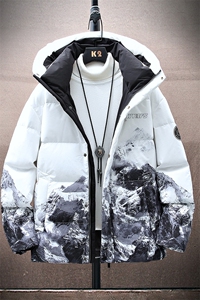 现货 外贸侧飞图立领光板团体服班服宽松韩版情侣学生外套羽绒服图片