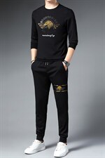 秋季休闲运动套装男士长袖T恤一套搭配帅气两件套中青年体恤男潮，男装休闲套装，电商B212（原钱塘6029）