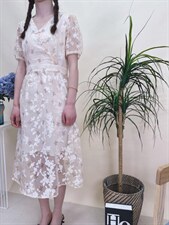 现货夏季新款风盘扣烧花连衣裙，女装连衣裙，蘑小菇