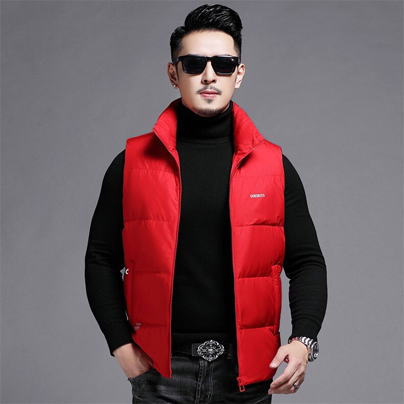 B2216钱塘2020-3冬季新款时尚休闲厚款中年男士羽绒马甲P155,男装羽绒服,钱塘207-3