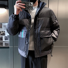 立领款白鸭绒新标50绒保暖休闲大口袋款B226-9008-P195，男装棉衣，电商A210