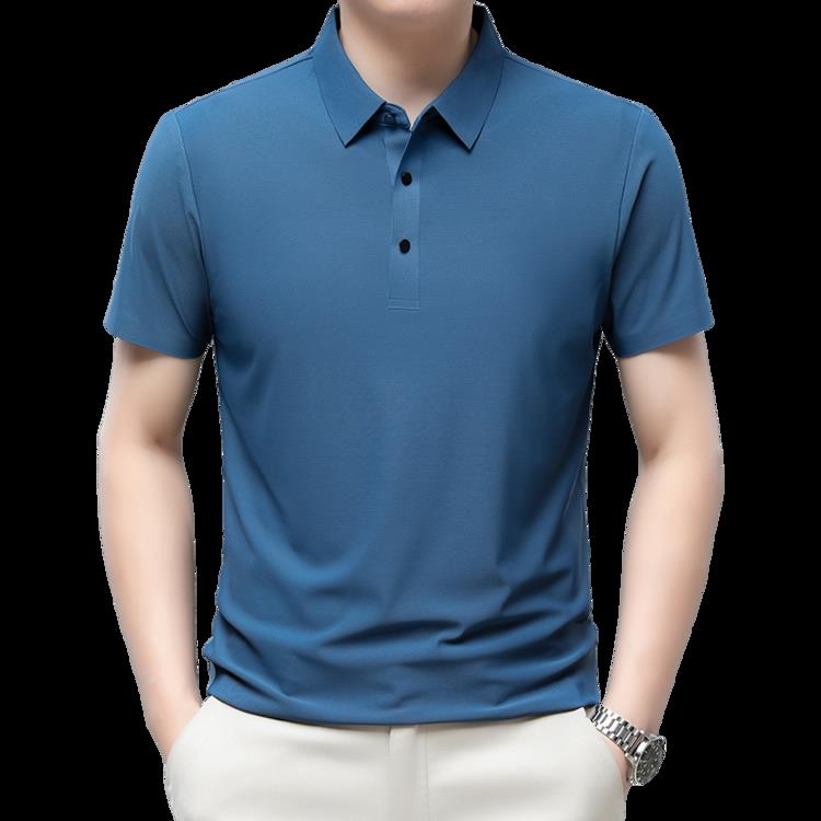 短袖T恤男翻领纯色POLO衫夏季中年男士商务休闲半袖体恤衫男装,男装T恤,电商B212（原钱塘6029）