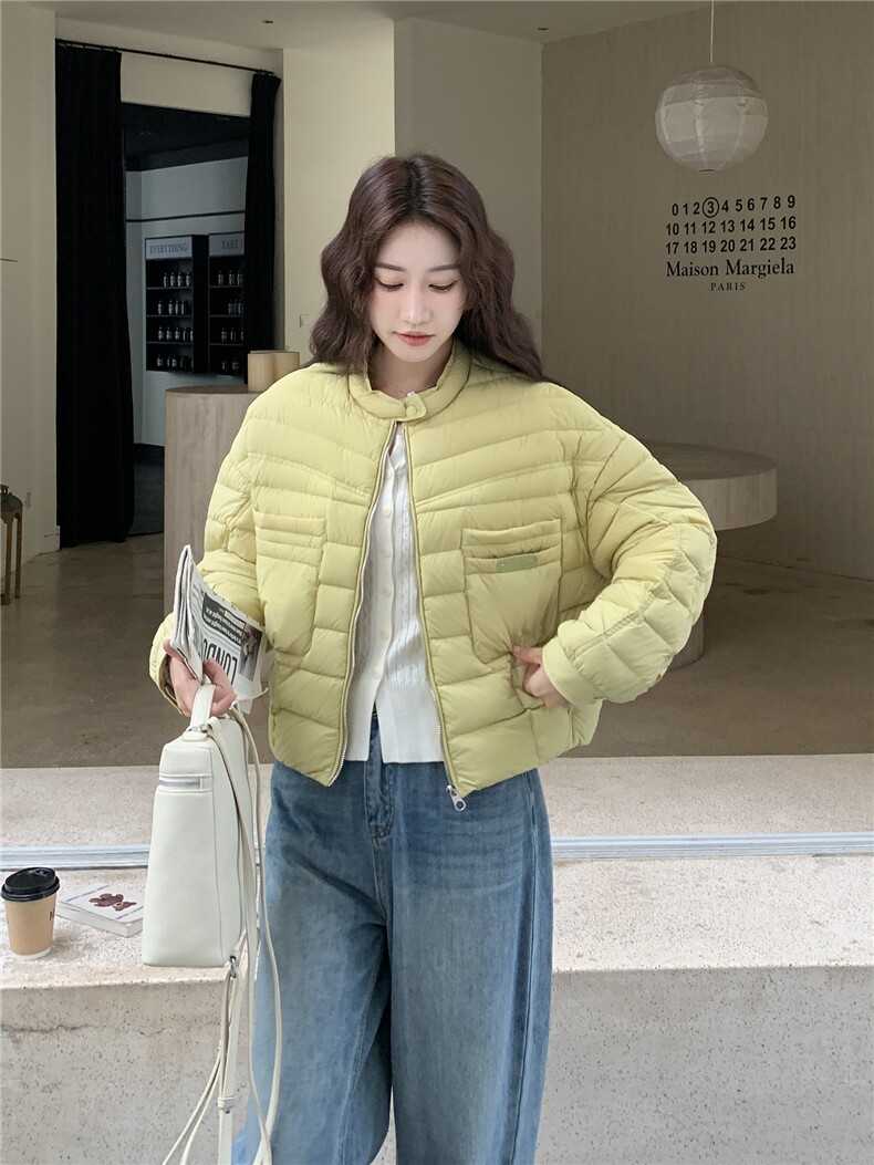 极简风休闲轻羽绒服女2025冬季新款韩系立领保暖白鸭绒百搭厚外套,女装羽绒服,玖莱伊