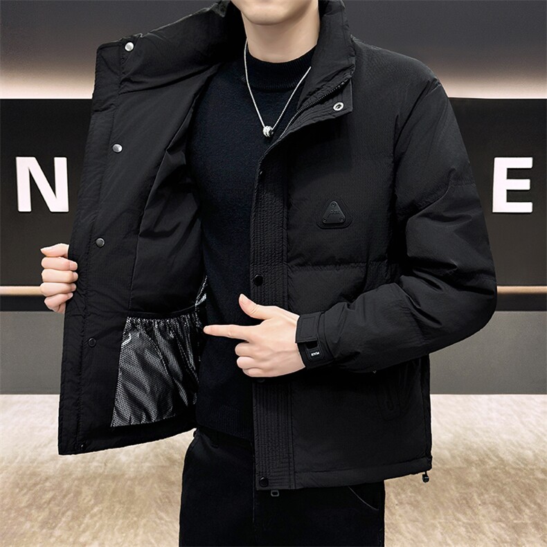 DS-A225标50冬季新款男士立领内衬石墨烯白鸭绒羽绒服3139P165，男装羽绒服，电商A225