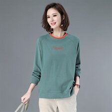 【全年有货，永不下架】卫衣女春秋韩版宽松刺绣洋气休闲妈妈上衣，女装卫衣/绒衫，3200格调