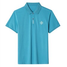 POLO衫男士短袖t恤翻领2023夏季新款潮牌休闲商务男装上衣，男装T恤，电商B212（原钱塘6029）