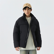 新标90白鸭绒简约休闲立领外套纯色加厚羽绒服ESY0212-P210，男装羽绒服，电商B306