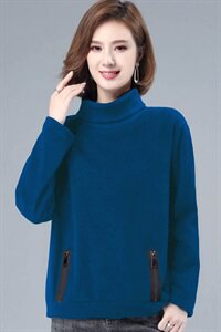 2022年秋冬款高领卫衣休闲拉链打底衫女加厚加绒图片